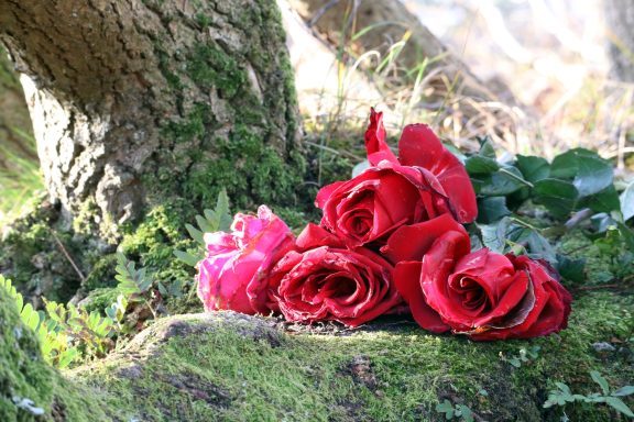 Iemand heeft z'n rozen achter gelaten